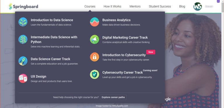 Springboard: The pathway to Professional Careers