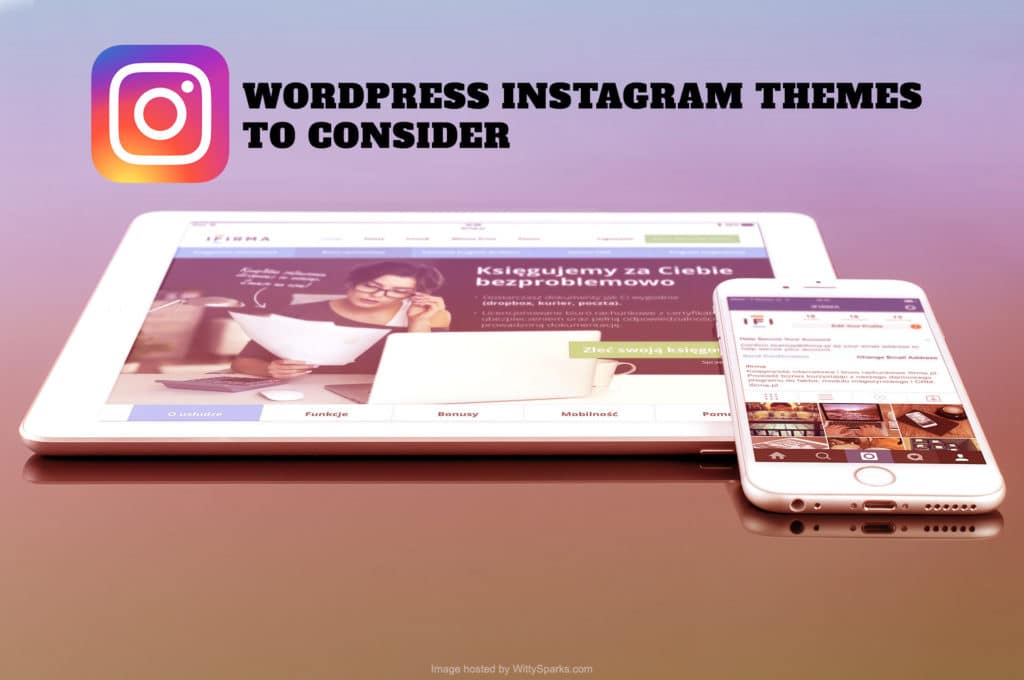 WordPress Instagram Themes