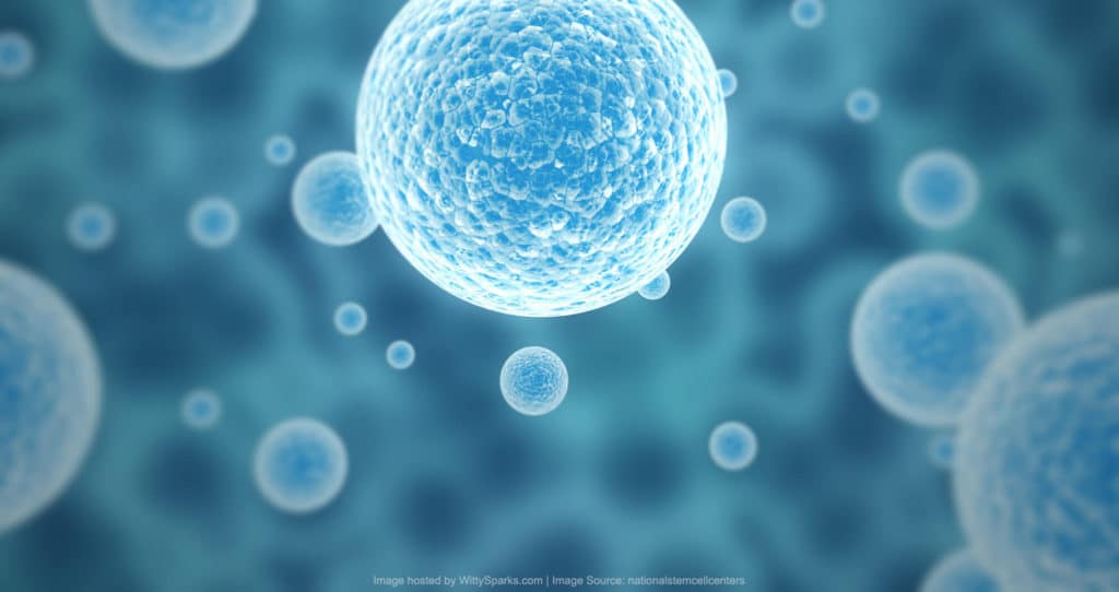 Stem Cell Therapy