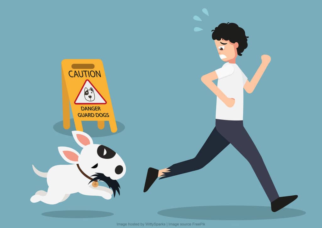 How to avoid a dog attacks