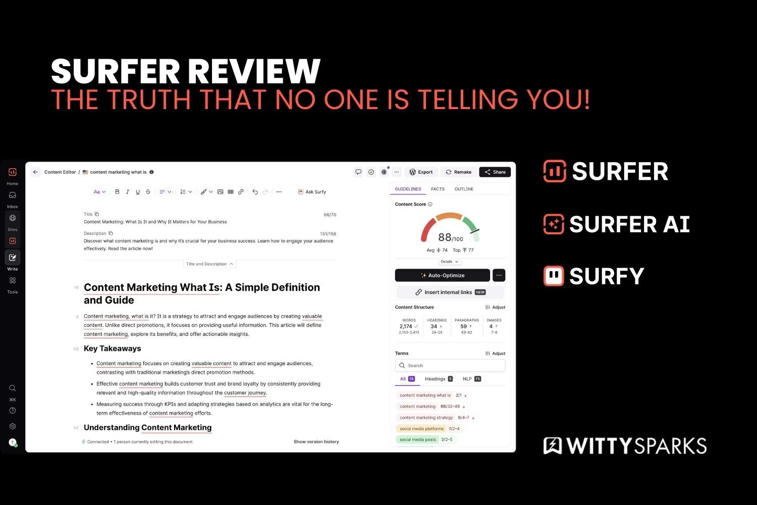 Surfer review