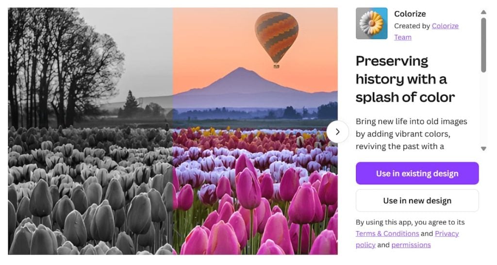 Canva App Colorize Preserving History