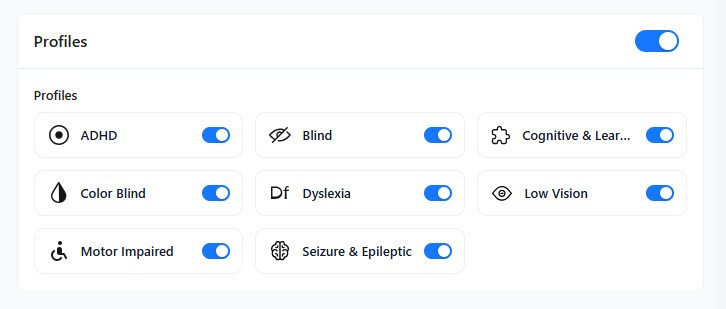 How to Make Your WordPress Website Accessible (Using One Accessibility Plugin)? 7 Accessibility profiles - ADHD, Blind, Dyslexia and more